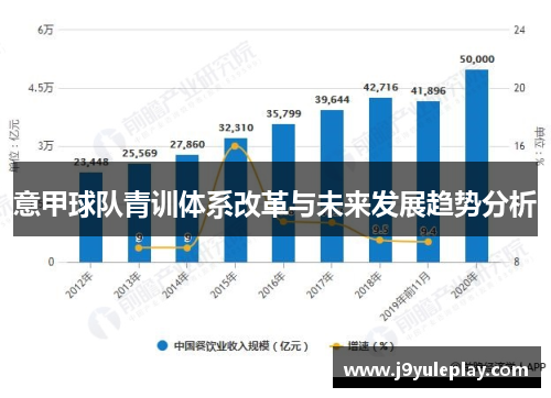 意甲球队青训体系改革与未来发展趋势分析